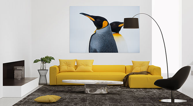 12 Top Nature Photographers To Inspire | Wall Art Prints