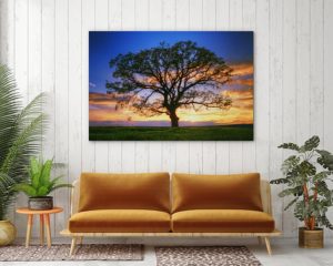 Beautiful Photos To Enrich Your Life | Wall Art Prints