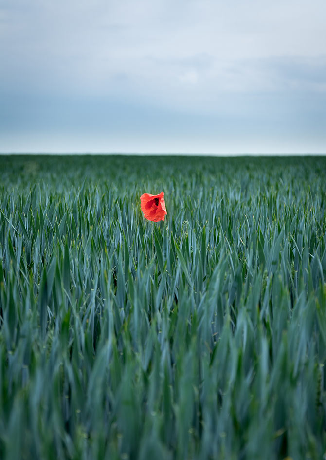 Exquisite simplicity the art of minimalist photography