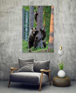 Paws for thought with beautiful wildlife art | Wall Art Prints