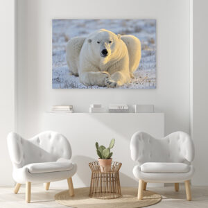 Paws for thought with beautiful wildlife art | Wall Art Prints