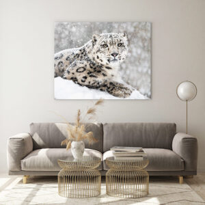 Paws for thought with beautiful wildlife art | Wall Art Prints